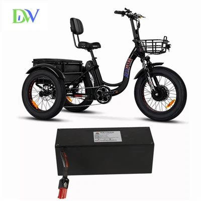 Electric Trike Lithium Battery